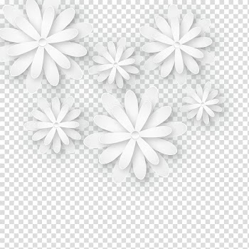 White flowers , Black and white Petal Common daisy, Three-dimensional white flowers transparent background PNG clipart