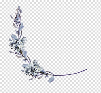 White flowers , Branch Flower, flower transparent background PNG clipart