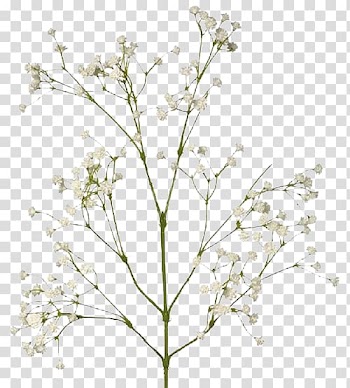White flowers, Cut flowers Flower bouquet Artificial flower Pressed flower craft, flower transparent background PNG clipart