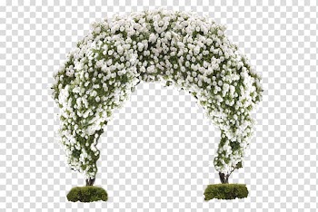 White flowers garden decor, Flower Arch Fundal, White Flower Gate transparent background PNG clipart