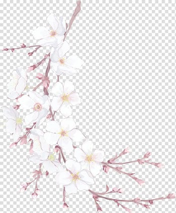 White flowers illustration, Flowers transparent background PNG clipart