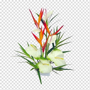 White flowers illustration, Hawaii Flower bouquet Floristry Lei, tropical flower transparent background PNG clipart