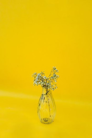 white flowers in clear glass vase