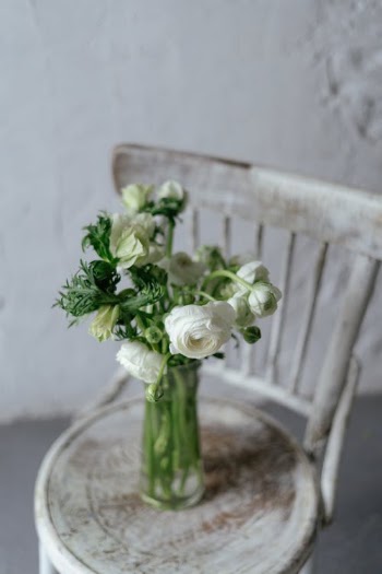 White Flowers in Clear Glass Vase · Free Stock Photo
