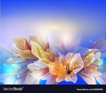 white flowers on blue background