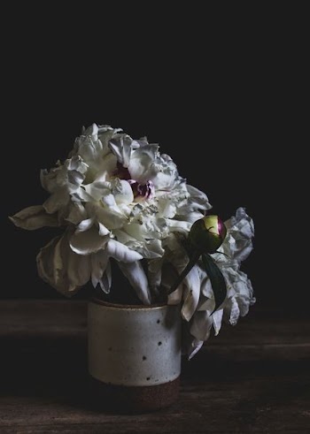 white flowers on brown and white vase