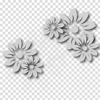 White flowers , Paper Flower Euclidean Three-dimensional space, Paper-cut flowers transparent background PNG clipart