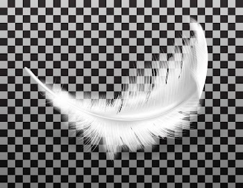 White fluffy feather with shadow realistic Free Vector