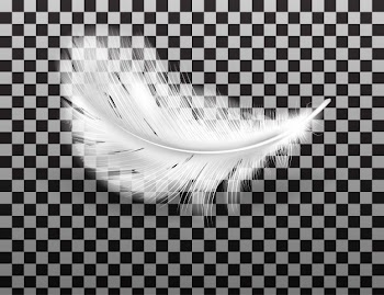 White fluffy feather with shadow realistic Free Vector