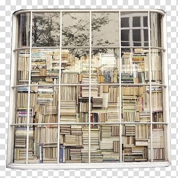 White framed window pane with more books transparent background PNG clipart