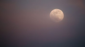white full-moon photo