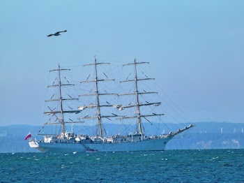 White Galleon Ship