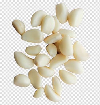 White garlics, Solo garlic Garlic bread Vegetable, Garlic transparent background PNG clipart