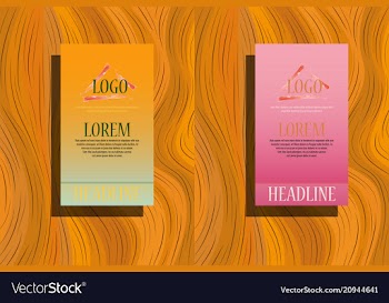 White geometric brochure template design vector image