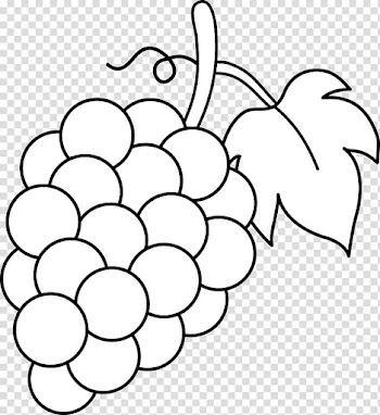 White grapes , Common Grape Vine Wine Black and white , Vine Line transparent background PNG clipart