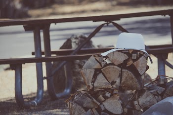 White Hat on Brown Firewood