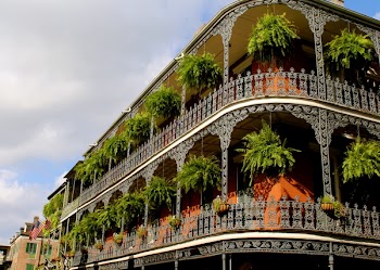 White High-rise Building With Green Leaf Hanging Plants