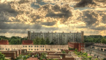 White High Rise Buildings Surrounding Trees