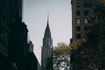 White High-rise Tower Near Tree
