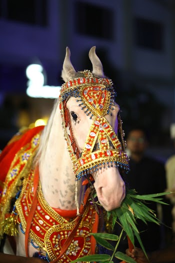 White Horse