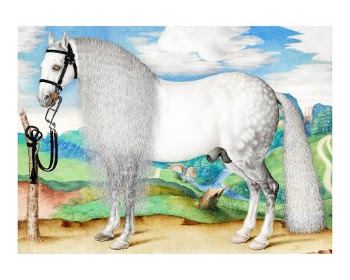 White horse art print, vintage | Free Photo - rawpixel