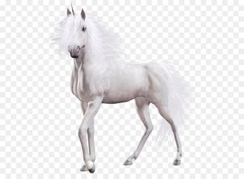 White Horse Country Club Equine coat color - Unicorn PNG 