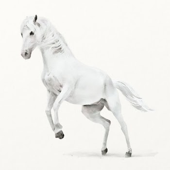 White horse illustration, animal watercolor | Free Photo Illustration - rawpixel