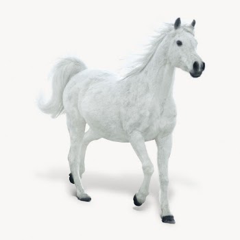 White horse isolated on white, | Free Photo - rawpixel