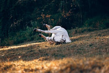 White Horse Lying on Ground