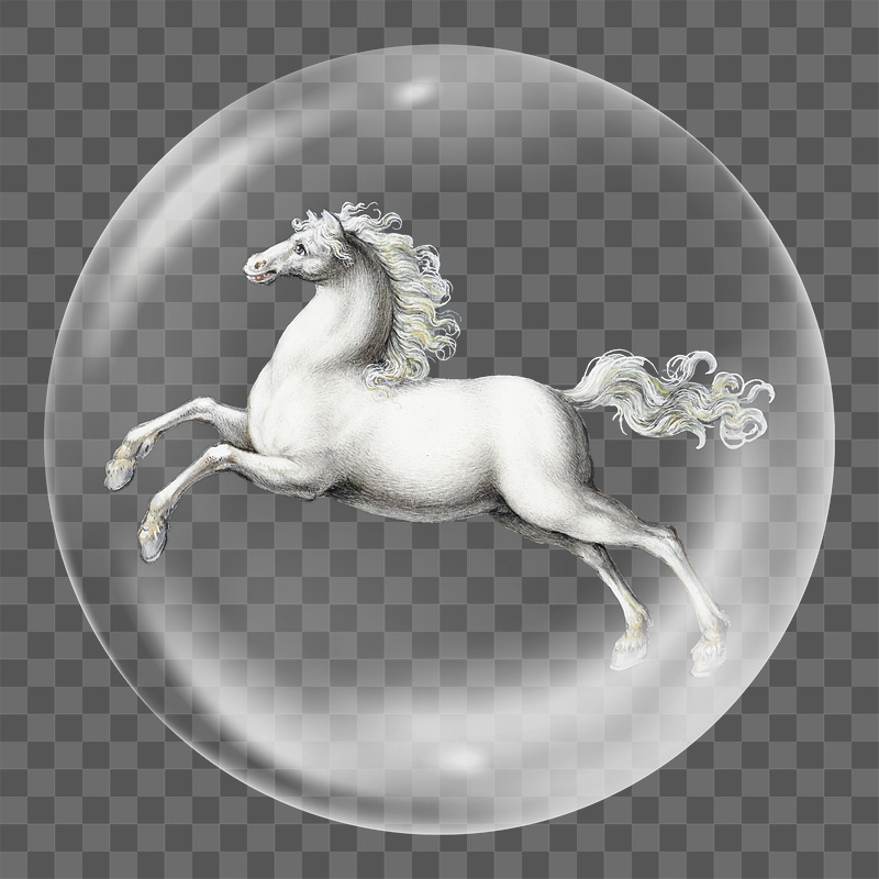 White horse png sticker, bubble | Free PNG - rawpixel