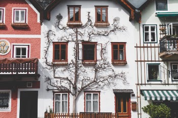 White House