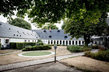 White House Beside Tree