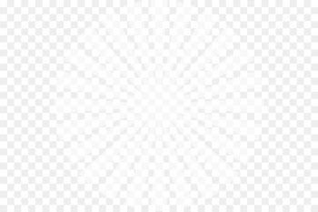 White House Logo Business Service Organization - Sun Rays Collection Png Clipart 