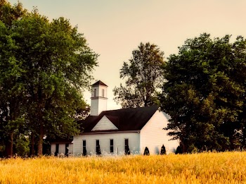 White House Near Green Trees