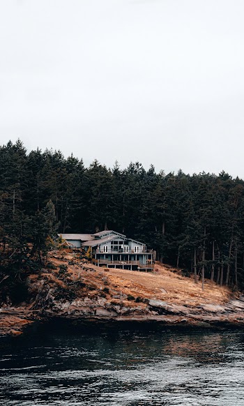 White House Near Lake Surrounded With Tall and Green Trees