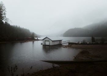 white house on body of water