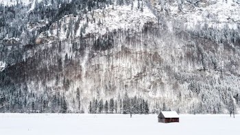 white house on snow field