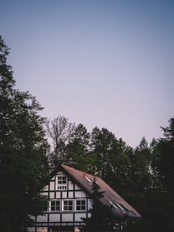 White House Surrounded by Trees