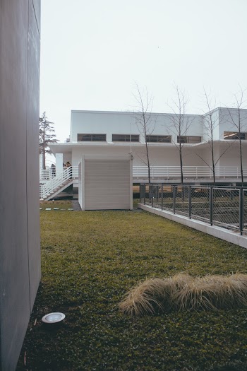 White House Under White Sky