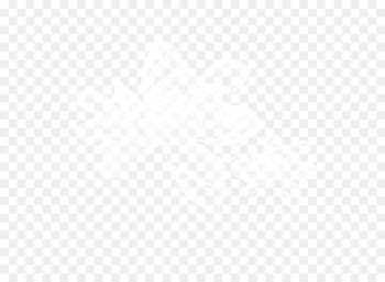 White House Website Drawing Service Advertising - Transparent white lotus 