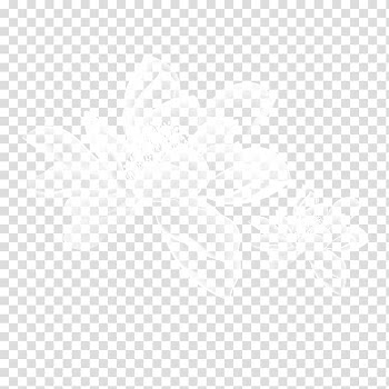 White House Website Drawing Service Advertising, white lotus transparent background PNG clipart