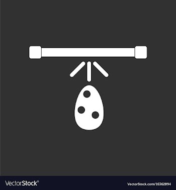 White icon on black background effect on egg vector image