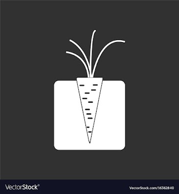 White icon on black background turnips in the vector image