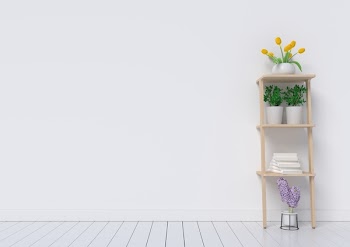 White interior design with plants on a floor,3D rendering