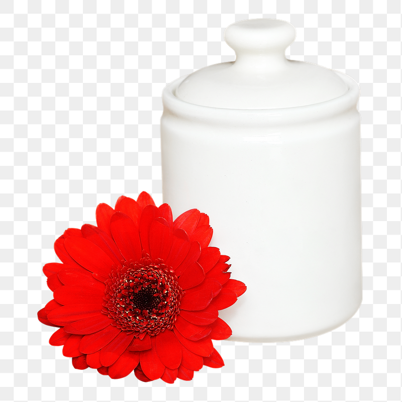 White jar png with flower, | Free PNG - rawpixel