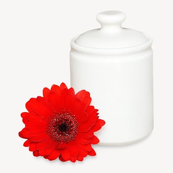 White jar with flower image | Free Photo - rawpixel