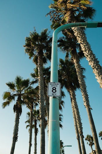 White Lamppost
