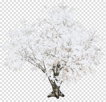 White leafed plant, Tree Christmas, Beautiful snow tree transparent background PNG clipart