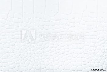 White leather background