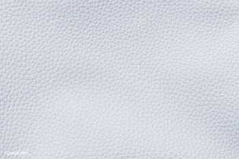White leather texture | Free stock vector - 916065